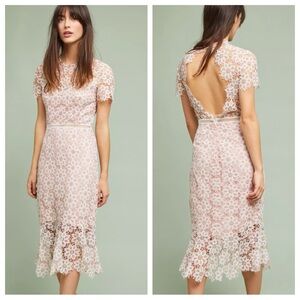 Saylor Lillie Floral Lace Trumpet Illusion Romantic Pink White Midi Dress small